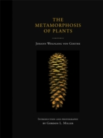 Metamorphosis of Plants