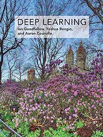 Deep Learning (Adaptive Computation and Machine Learning)