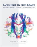 Language in Our Brain The Origins of a Uniquely Human Capacity