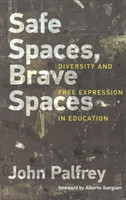 Safe Spaces, Brave Spaces