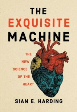 Exquisite Machine