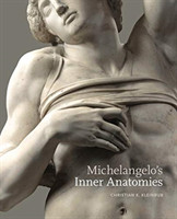 Michelangelo’s Inner Anatomies