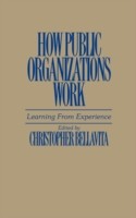 How Public Organizations Work