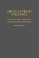 China's Energy Strategy