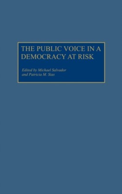 Public Voice in a Democracy at Risk