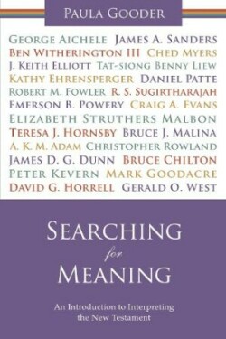 Searching for Meaning