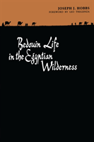 Bedouin Life in the Egyptian Wilderness