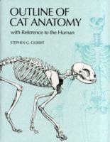 Outline of Cat Anatomy with Reference to the Human