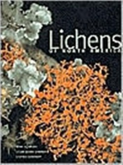 Lichens of North America