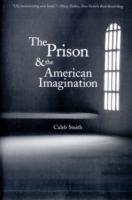 Prison and the American Imagination