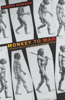 Monkey to Man