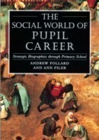 Social World of Pupil Career