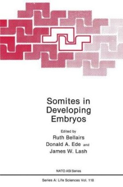 Somites in Developing Embryos