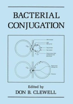 Bacterial Conjugation