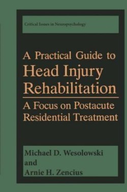 Practical Guide to Head Injury Rehabilitation