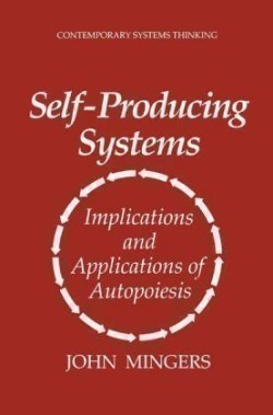 Self-Producing Systems