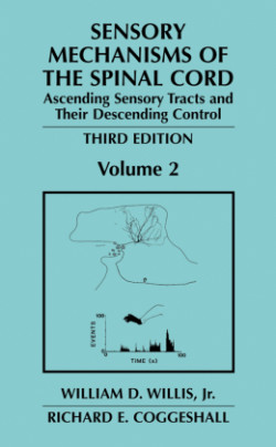 Sensory Mechanisms of the Spinal Cord