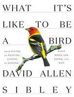 What It's Like to Be a Bird: From Flying to Nesting, Eating to SingingWhat Birds Are Doing, and Why