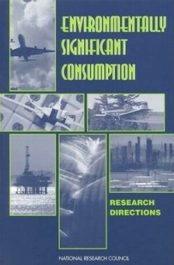 Consumption and the Environment