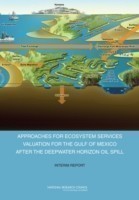 Approaches for Ecosystem Services Valuation for the Gulf of Mexico After the Deepwater Horizon Oil Spill