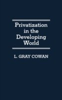 Privatization in the Developing World