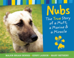 Nubs: The True Story