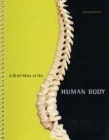 Brief Atlas of the Human Body, A