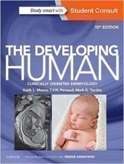 Developing Human : Clinically Oriented Embryology 10th Ed.
