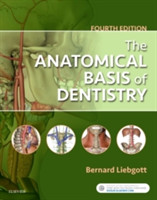 The Anatomical Basis of Dentistry