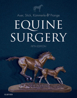 Equine Surgery