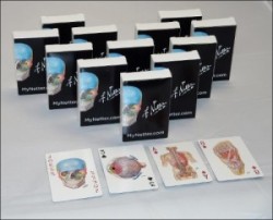 Netter's Anatomy Art Card Deck BOX of 12