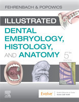 Illustrated Dental Embryology, Histology, and Anatomy, 5th Ed.