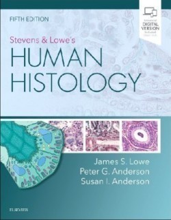 Stevens & Lowe's Human Histology, 5th ed.*