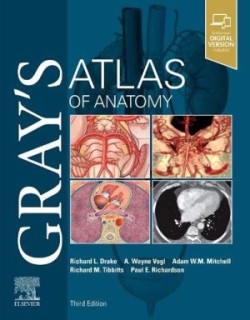 Gray's Atlas of Anatomy 3rd. ed.