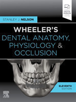 Wheeler's Dental Anatomy, Physiology and Occlusion, 11th Ed.