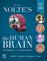 Nolte's The Human Brain, 8th edition