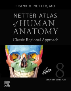 Netter Atlas of Human Anatomy: Classic Regional Approach, 8th Professional Edition (hardcover)