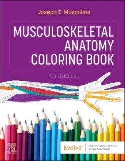 Musculoskeletal Anatomy Coloring Book