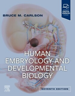 Human Embryology and Developmental Biology, 7th ed.