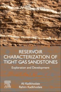 Reservoir Characterization of Tight Gas Sandstones