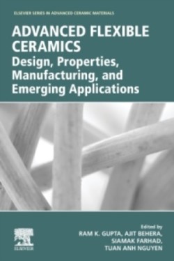 Advanced Flexible Ceramics