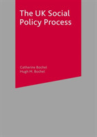 UK Social Policy Process