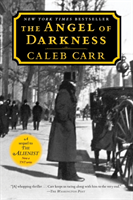 Angel of Darkness: Book 2 of the Alienist