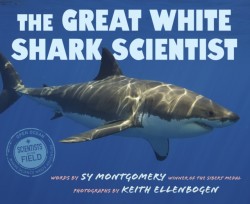 Great White Shark Scientist