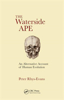 Waterside Ape