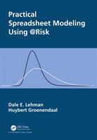 Practical Spreadsheet Modeling Using @Risk