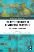 Energy Efficiency in Developing Countries