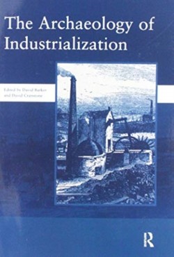 Archaeology of Industrialization: Society of Post-Medieval Archaeology Monographs: v. 2