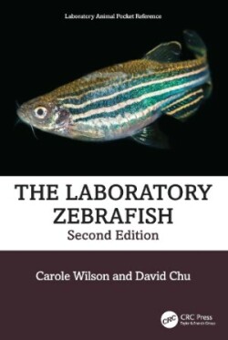 Laboratory Zebrafish