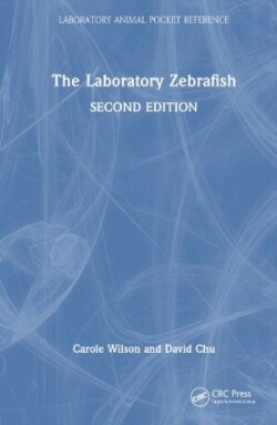 Laboratory Zebrafish